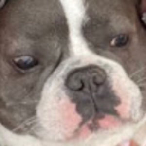 Meet your Posher, Maddie